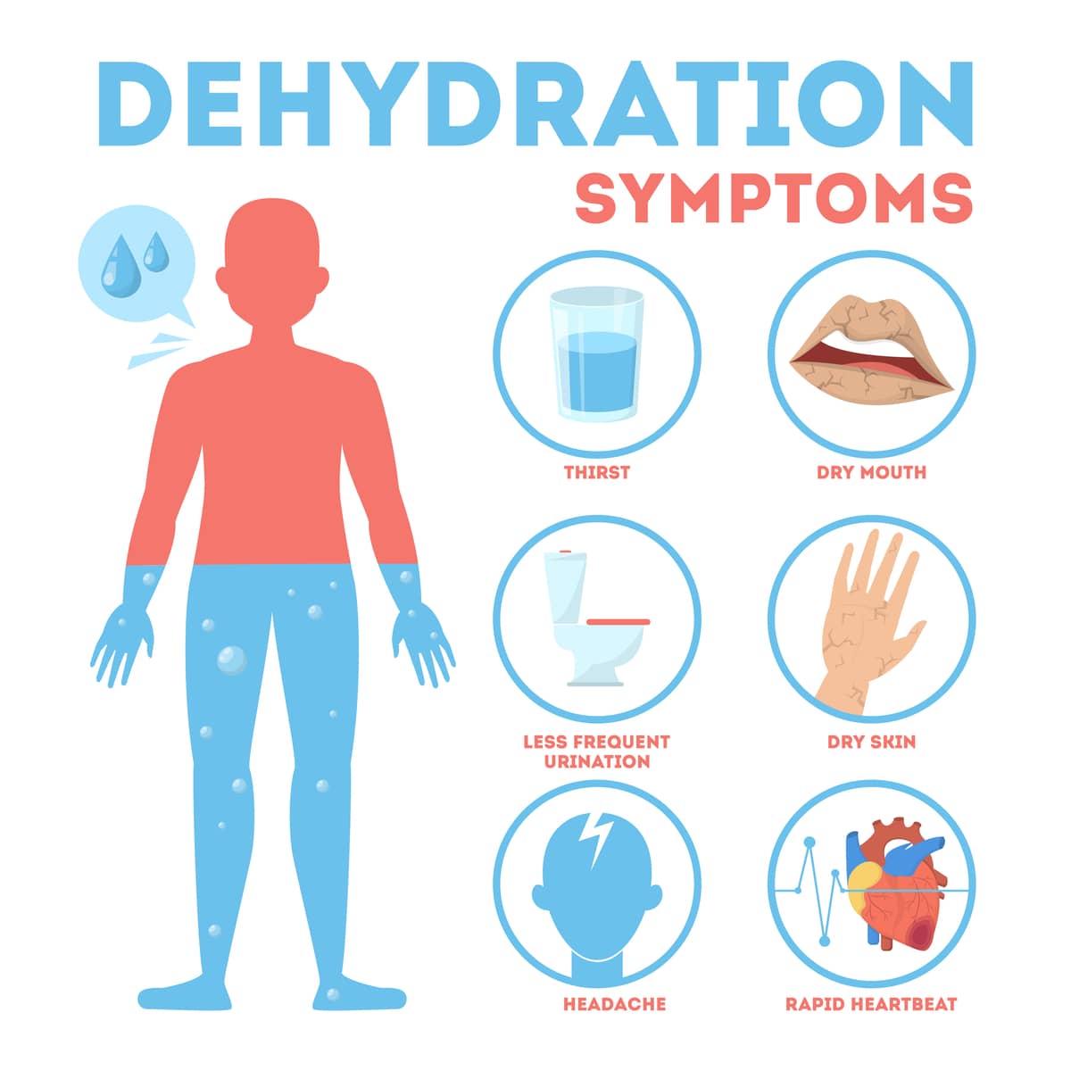 An infographic that list signs of dehydration as "thirst, dry mouth, less frequent urination, dry skin, headache, and rapid heartbeat"