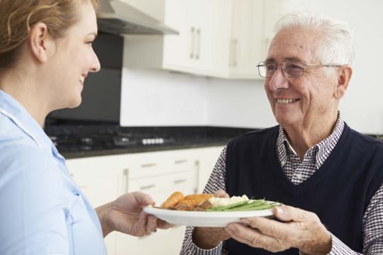 Meal planning for seniors services